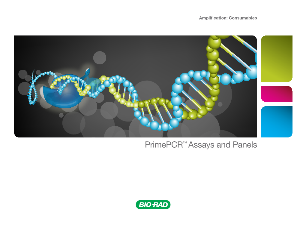 Primepcr™ Assays and Panels Primepcr™ Assays and Panels We Focused on the Details So You Can Focus on What Really Matters — Your Results