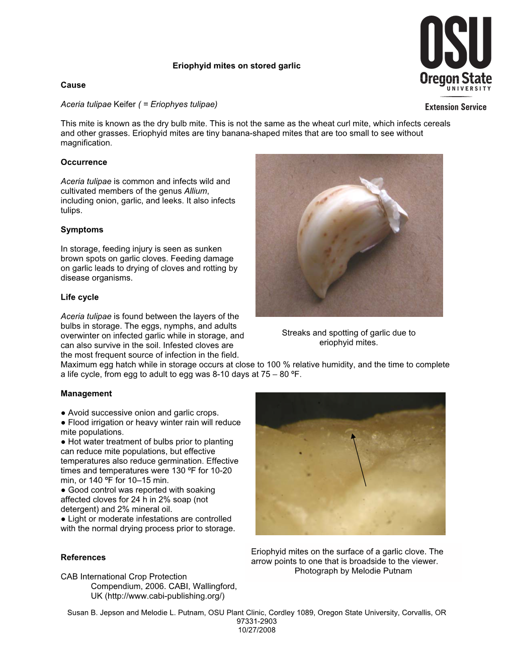 Eriophyid Mites on Stored Garlic