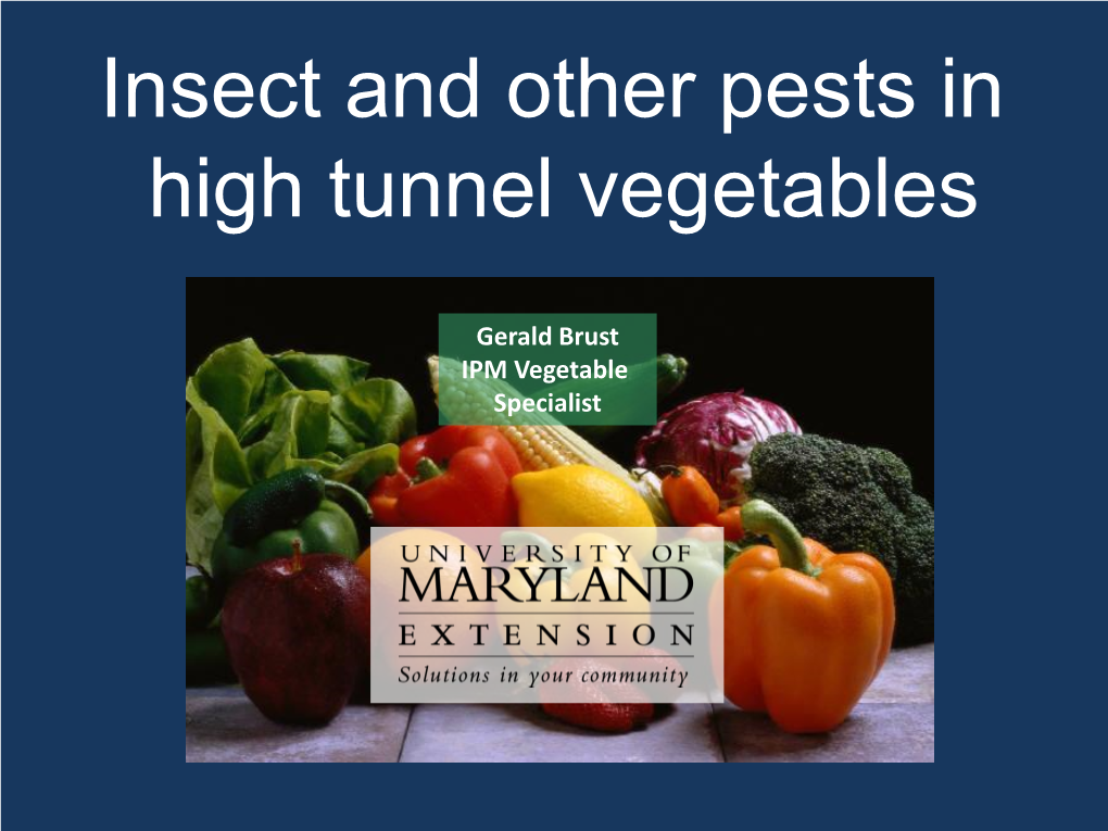 Insect and Other Pests in High Tunnel Vegetables