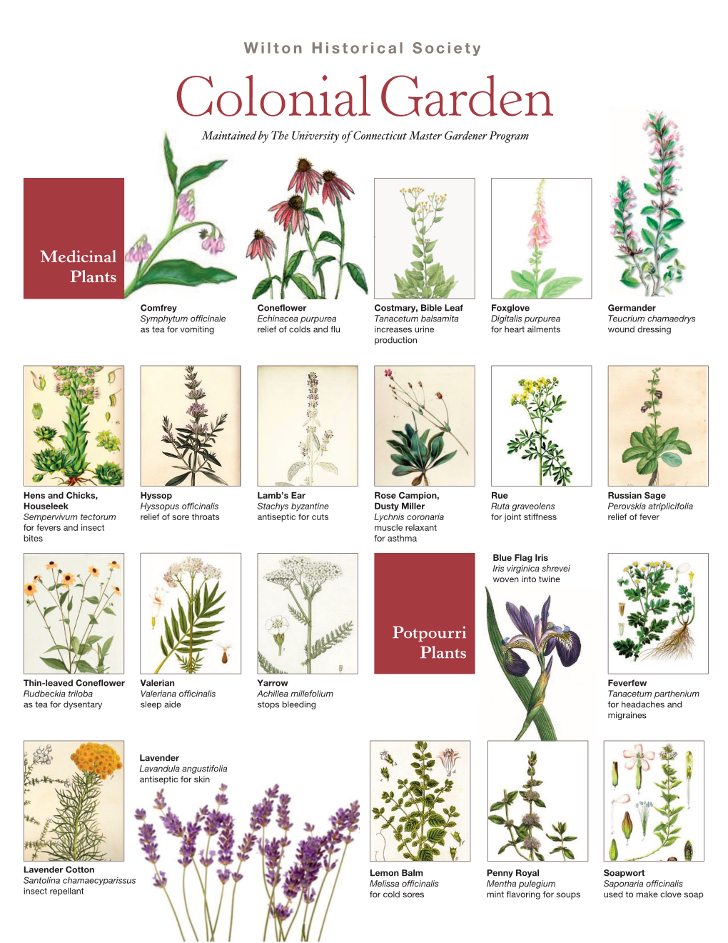 Printable Guide to Our Colonial Garden (PDF)