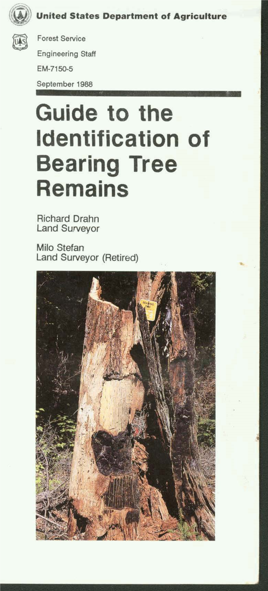 Guide to the Ldentif Ication of Bearing Tree Remains