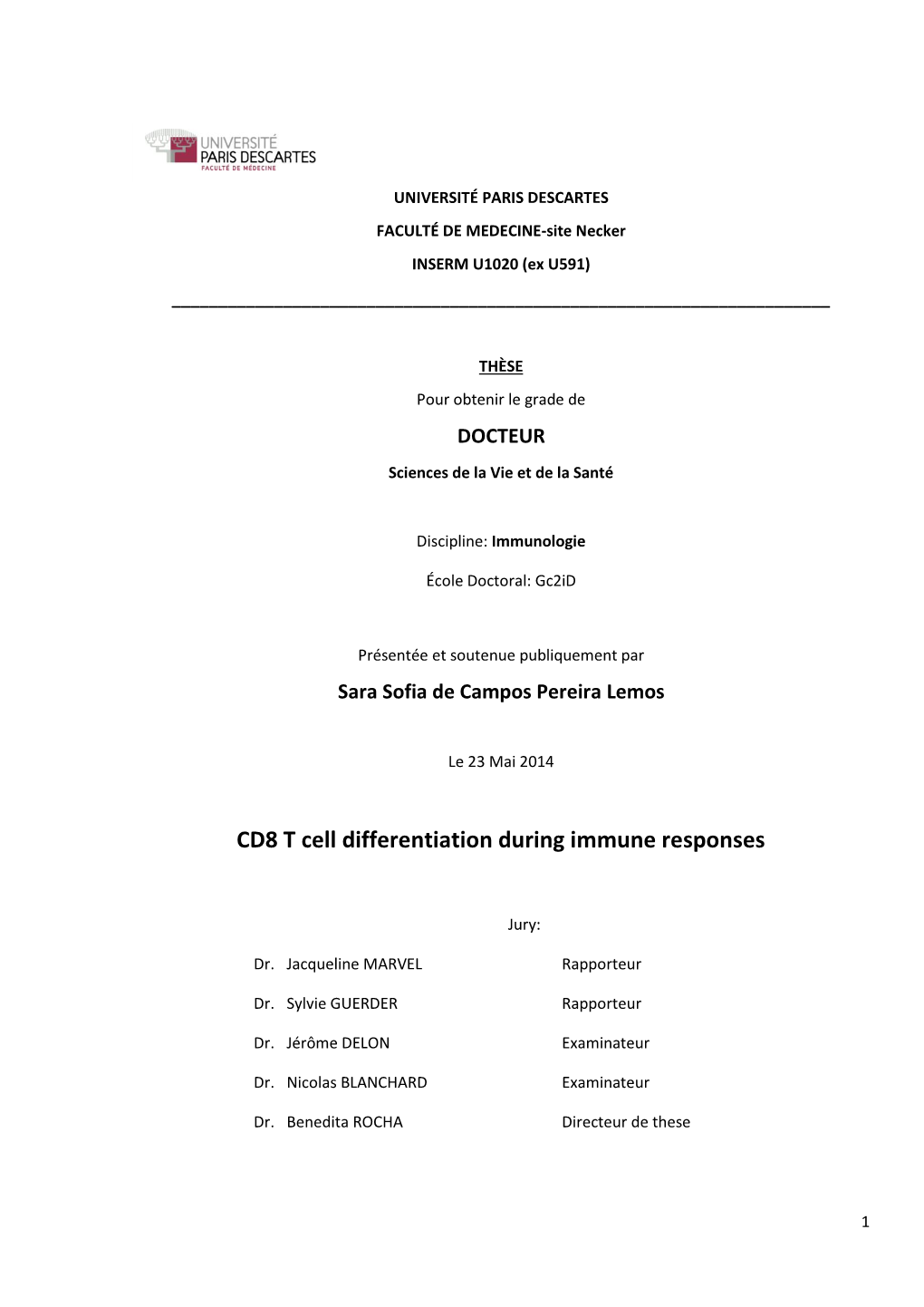 CD8 T Cell Differentiation During Immune Responses