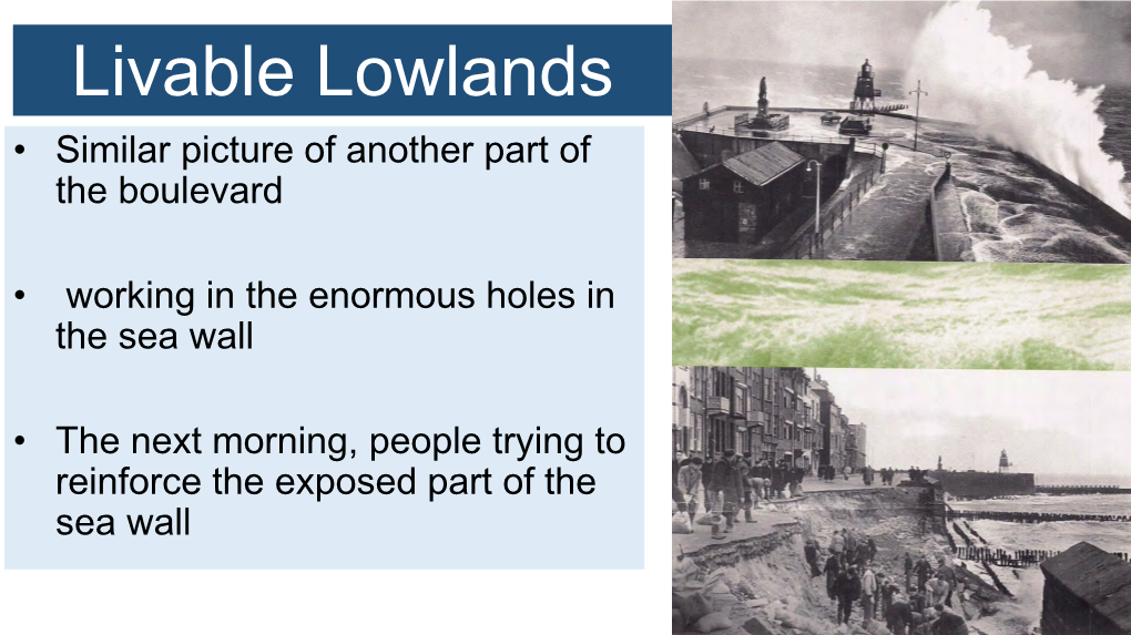 Live Able Lowlands