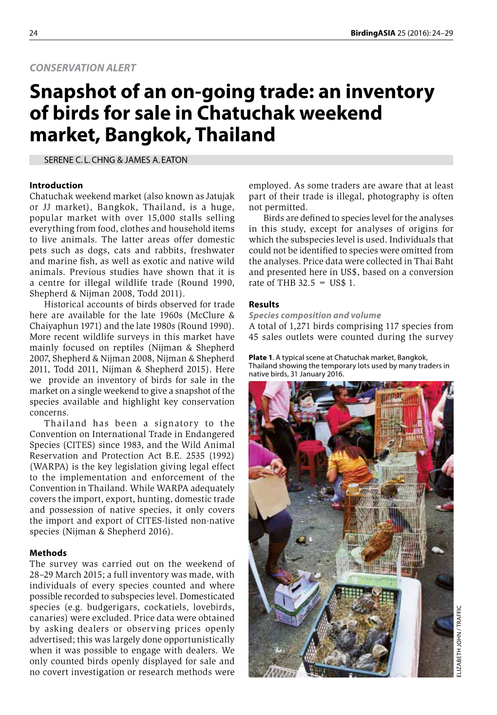 An Inventory of Birds for Sale in Chatuchak Weekend Market, Bangkok, Thailand