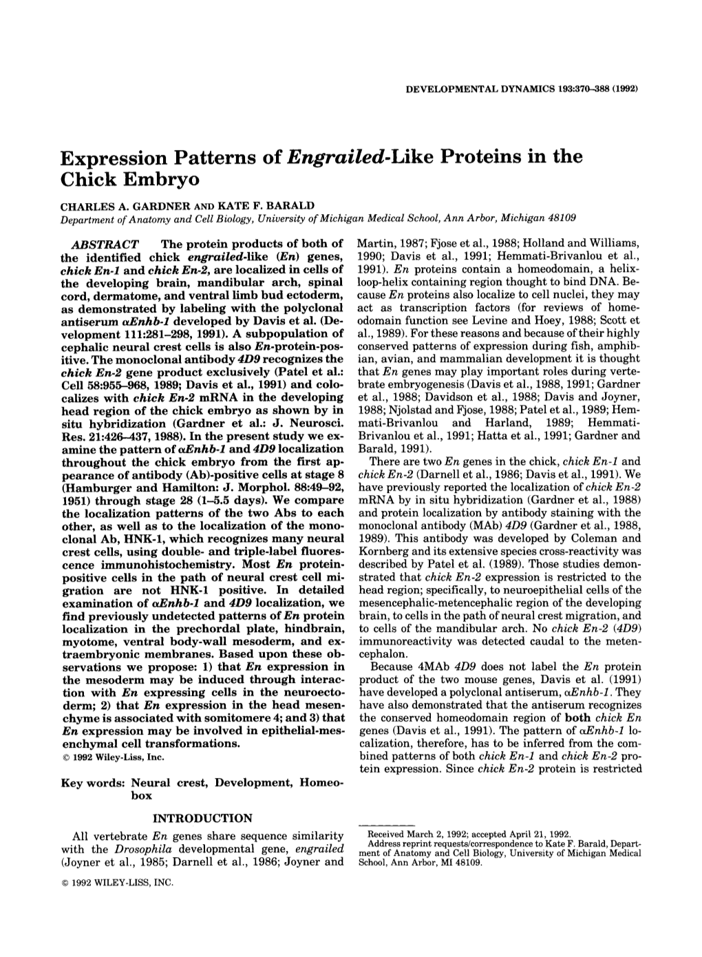 Expression Patterns of Engrailed-Like Proteins in the Chick Embryo