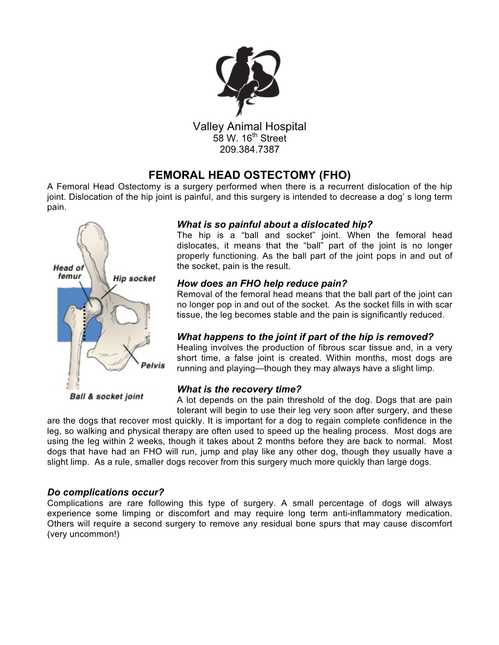 Femoral Head and Neck Ostectomy (FHO)