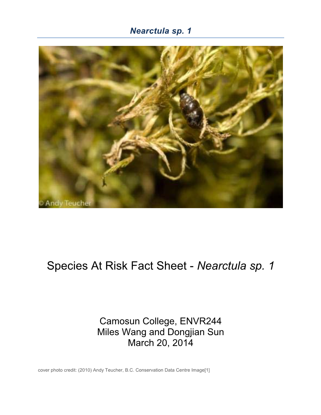 Species at Risk Fact Sheet - Nearctula Sp