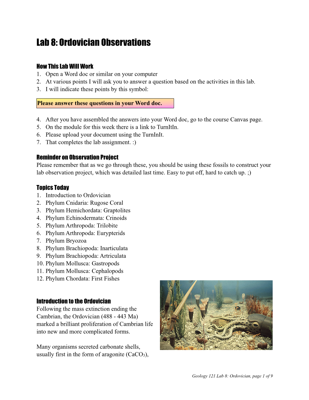 Lab 8: Ordovician Observations