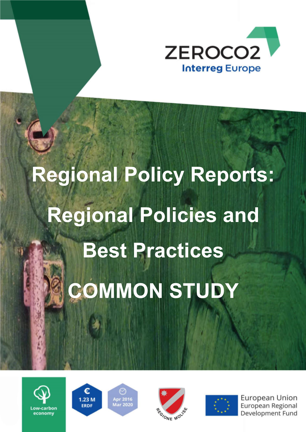 Regional Policies and Best Practices COMMON STUDY