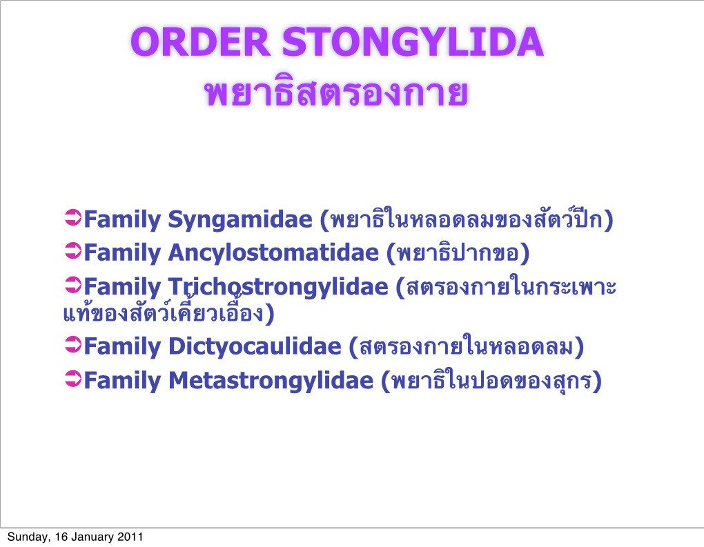 Order Stongylida พยาธิสตรองกาย