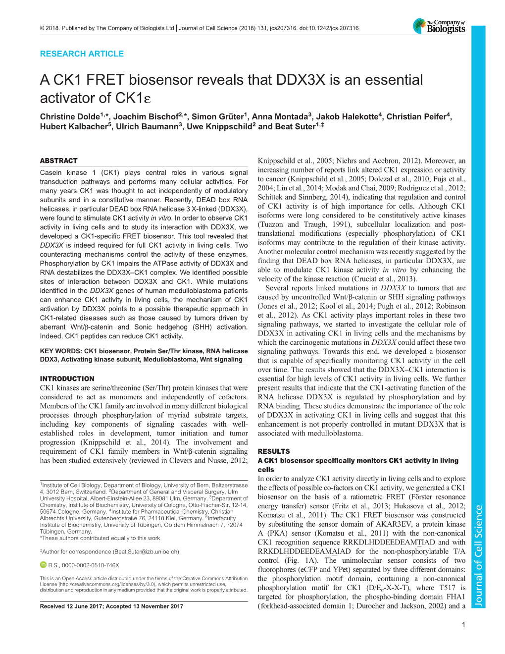 A CK1 FRET Biosensor Reveals That DDX3X Is an Essential Activator of Ck1ε