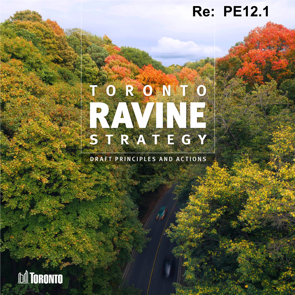 Ravine Strategy