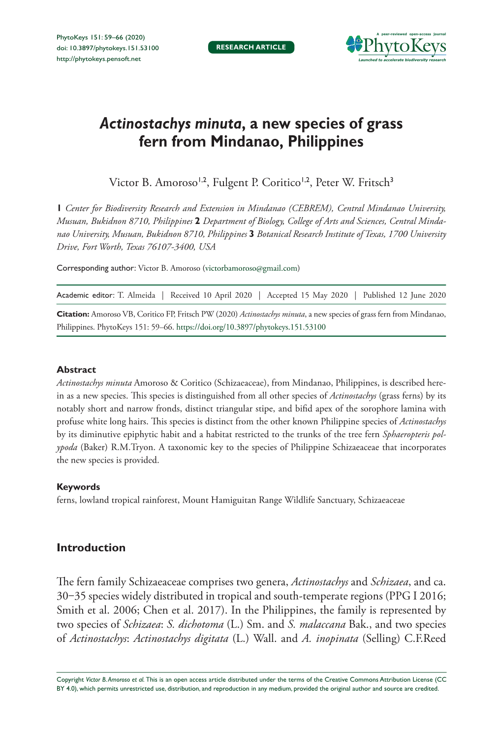 Actinostachys Minuta, a New Species of Grass Fern from Mindanao, Philippines