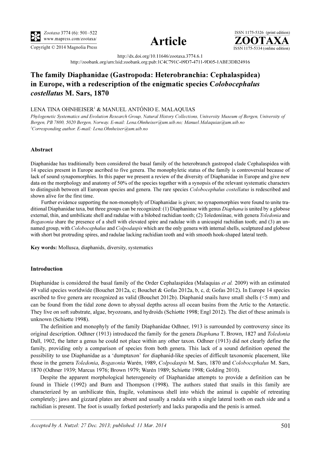 The Family Diaphanidae (Gastropoda: Heterobranchia: Cephalaspidea) in Europe, with a Redescription of the Enigmatic Species Colobocephalus Costellatus M