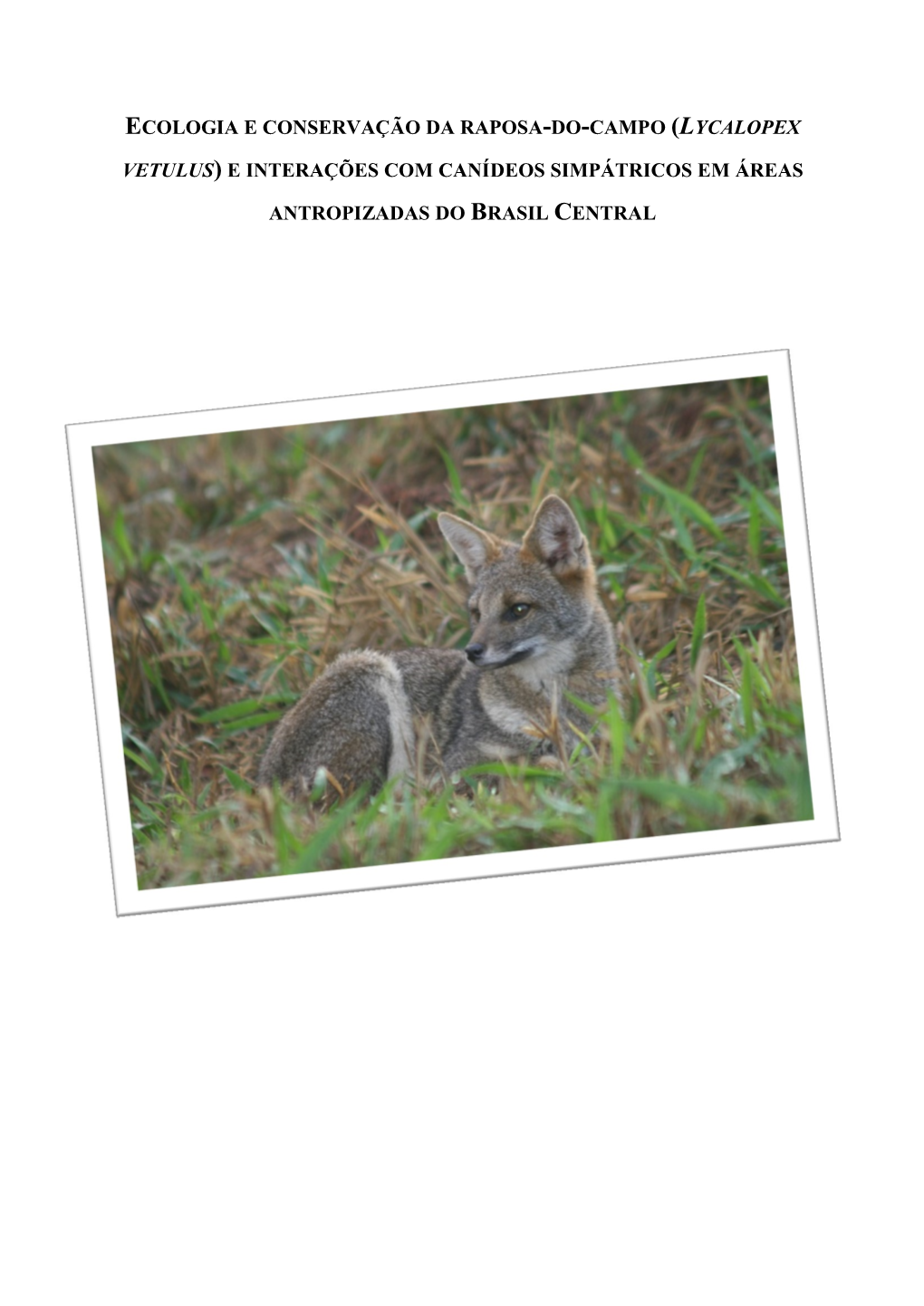 Ecologia E Conservação Da Raposa-Do-Campo (Lycalopex