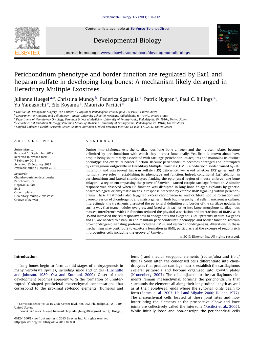 Perichondrium Phenotype and Border Function Are Regulated by Ext1 and Heparan Sulfate in Developing Long Bones a Mechanism Like