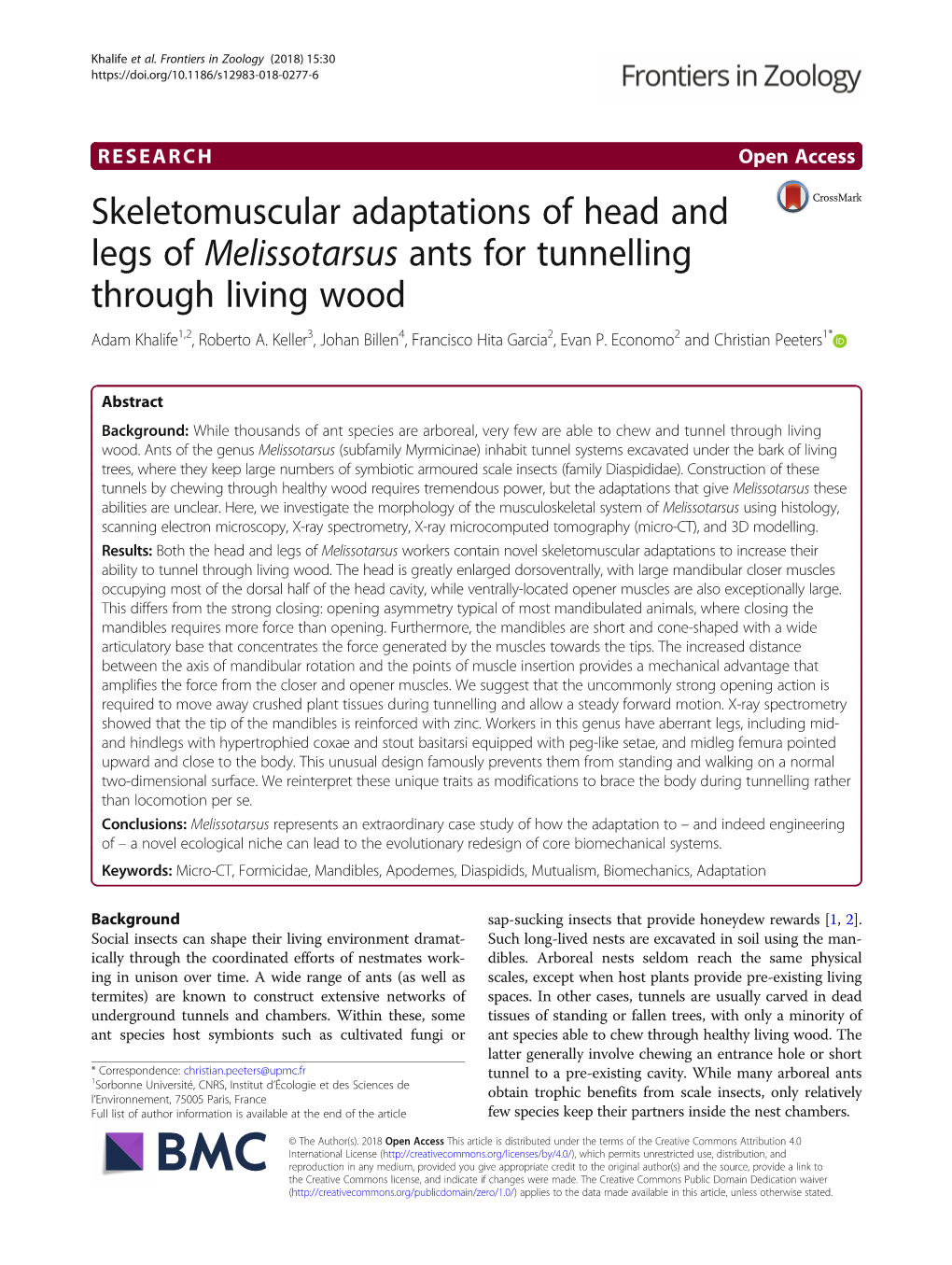 Skeletomuscular Adaptations of Head and Legs of Melissotarsus Ants For