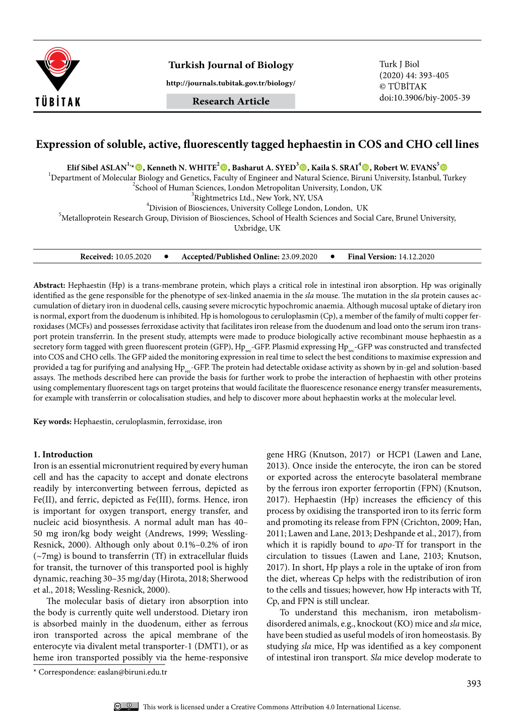 Expression of Soluble, Active, Fluorescently Tagged Hephaestin in COS and CHO Cell Lines