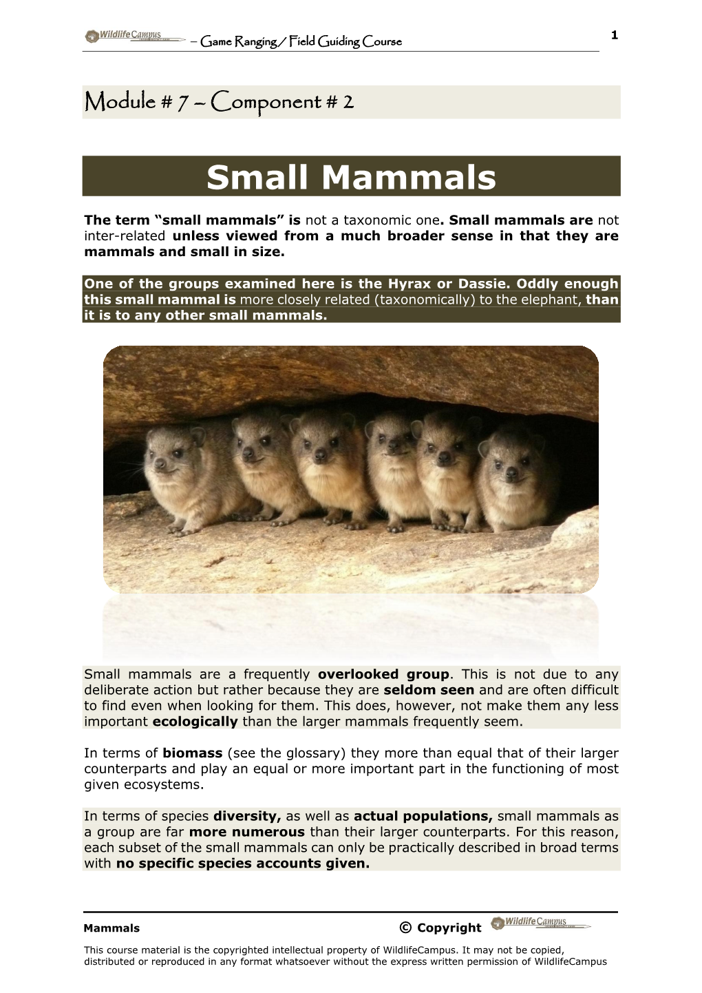 Small Mammals