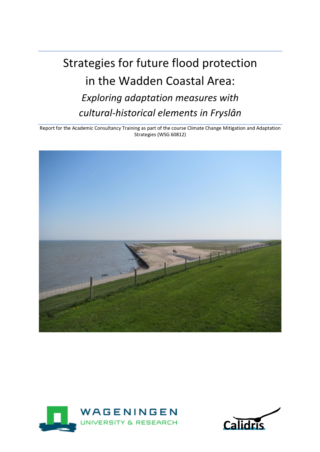 Strategies for Future Flood Protection in the Wadden Coastal Area: Exploring Adaptation Measures with Cultural-Historical Elements in Fryslân