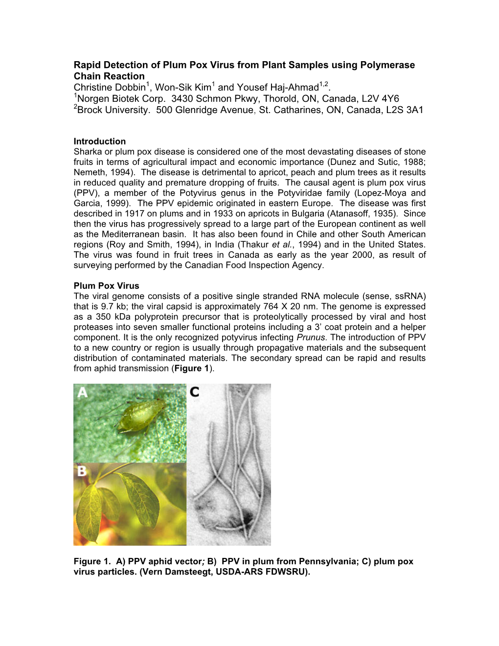 Rapid Detection of Plum Pox Virus from Plant Samples Using Polymerase Chain Reaction Christine Dobbin1, Won-Sik Kim1 and Yousef Haj-Ahmad1,2