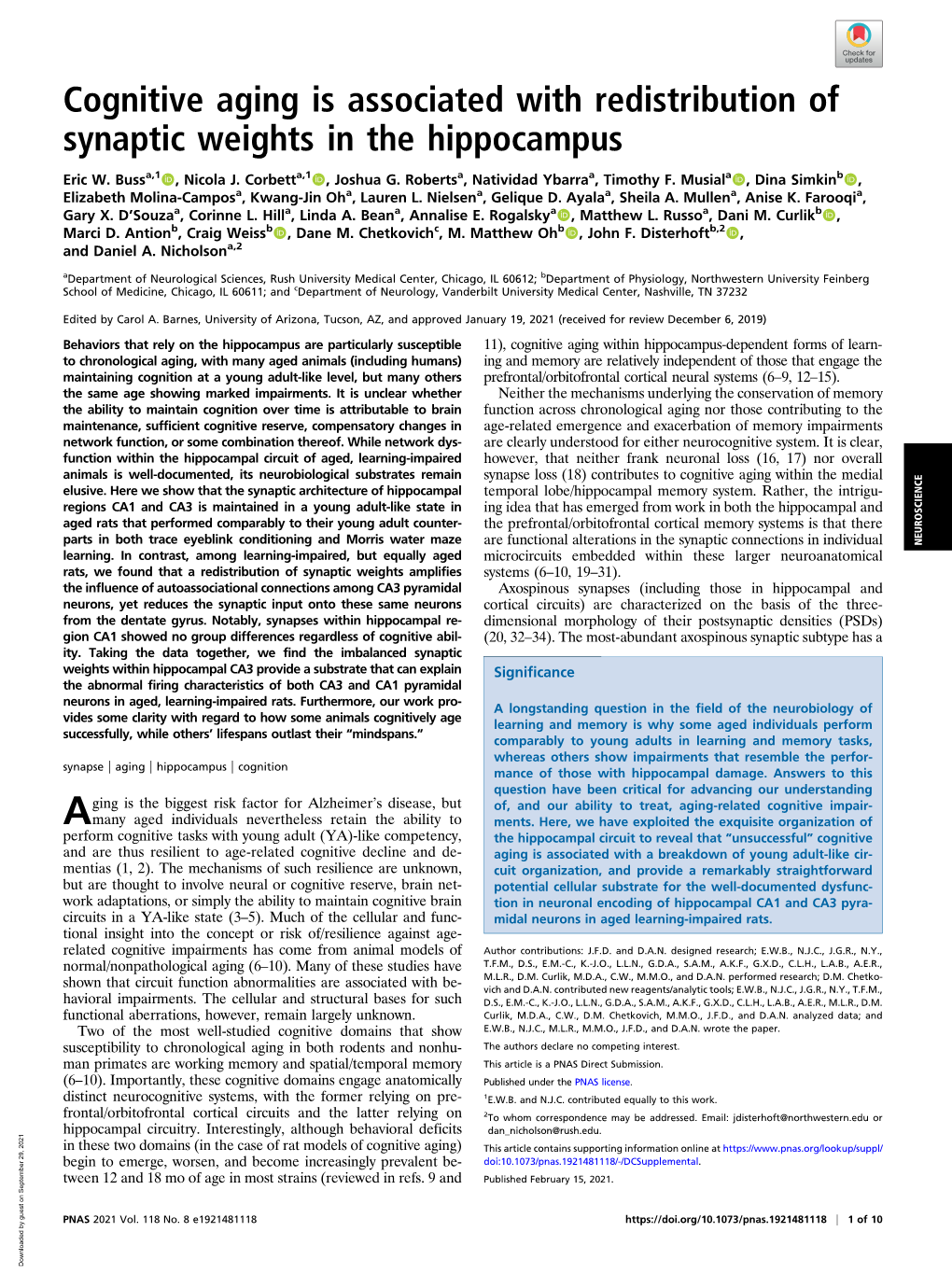 Cognitive Aging Is Associated with Redistribution of Synaptic Weights in the Hippocampus