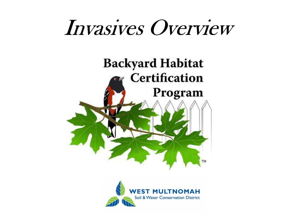 Invasive Plants