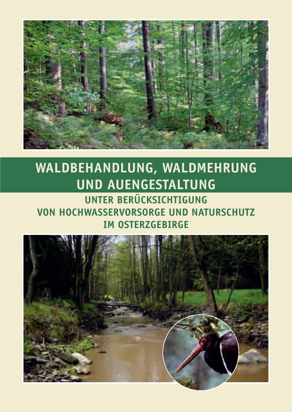 Waldbehandlung, Waldmehrung Und Auengestaltung