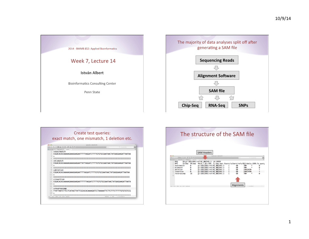 The Structure of the SAM File