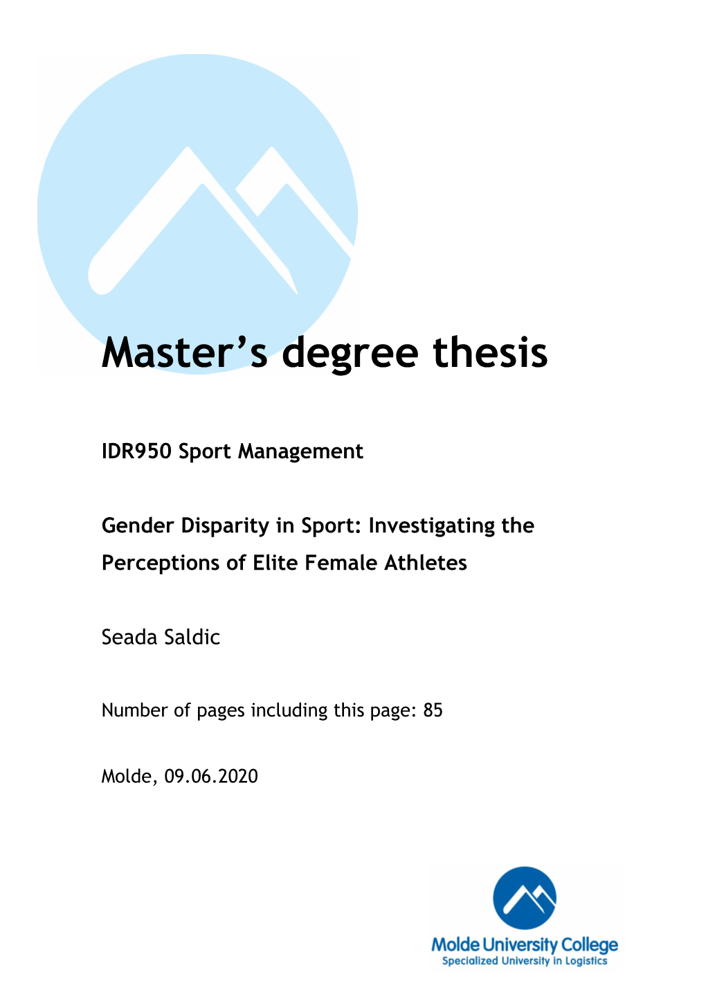 Master's Degree Thesis