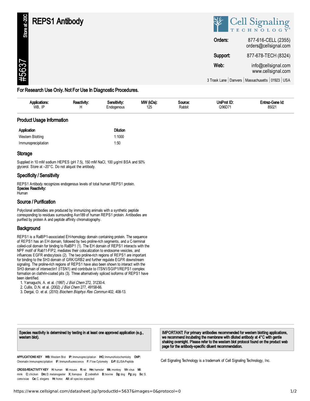 REPS1 Antibody A