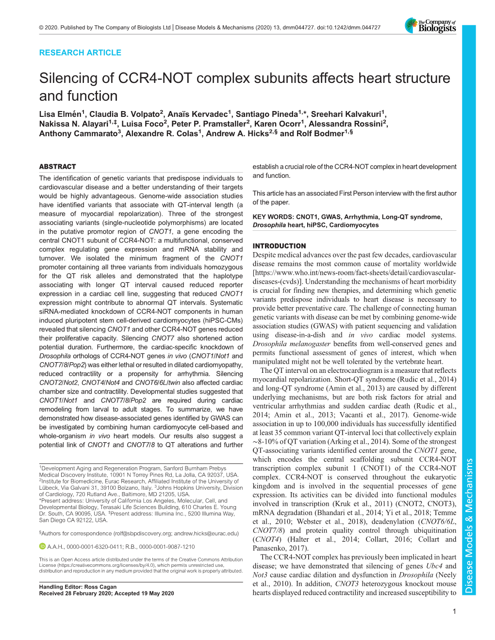 Silencing of CCR4-NOT Complex Subunits Affects Heart Structure and Function Lisa Elmén1, Claudia B