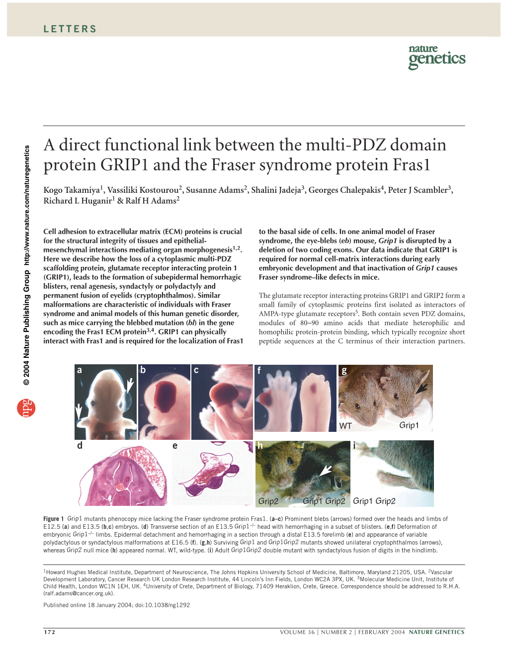 A Direct Functional Link Between the Multi-PDZ Domain Protein GRIP1 and the Fraser Syndrome Protein Fras1