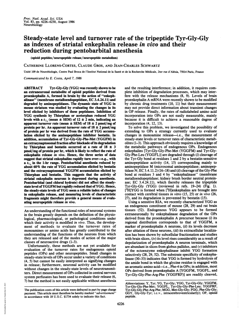 Steady-State Level and Turnover Rate of the Tripeptide Tyr-Gly-Gly As