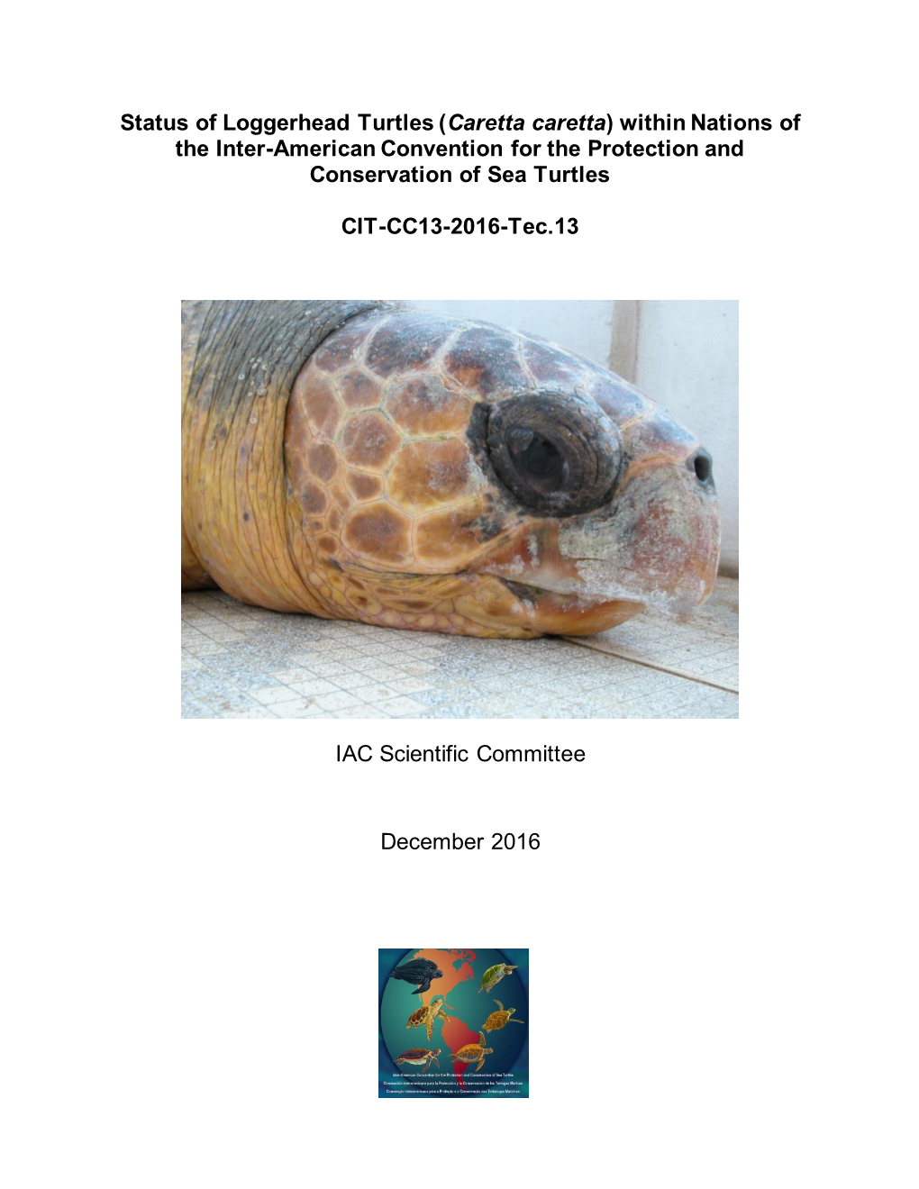 Status of Loggerhead Turtles (Caretta Caretta) Within Nations of the Inter-American Convention for the Protection and Conservation of Sea Turtles