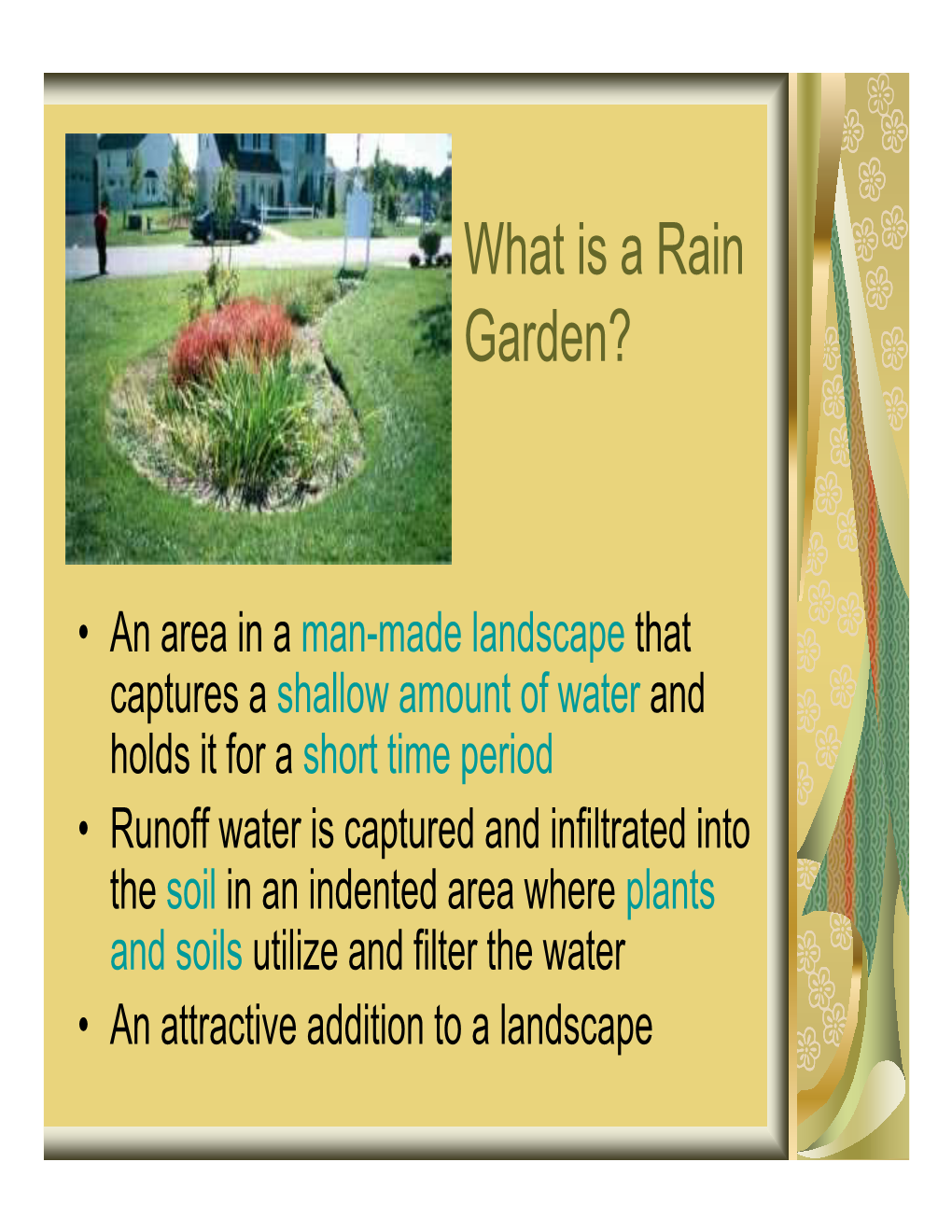 What Is a Rain Garden?