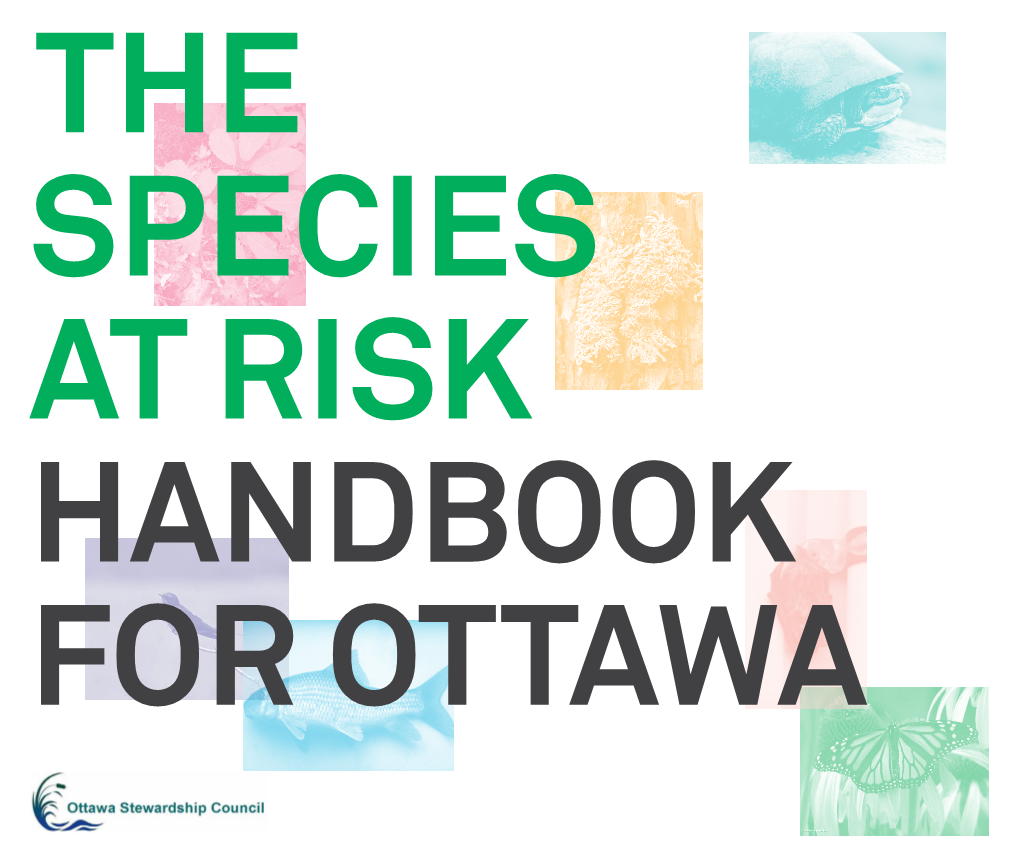 Species at Risk Handbook for Ottawa the Species at Risk Contents Handbook for Ottawa