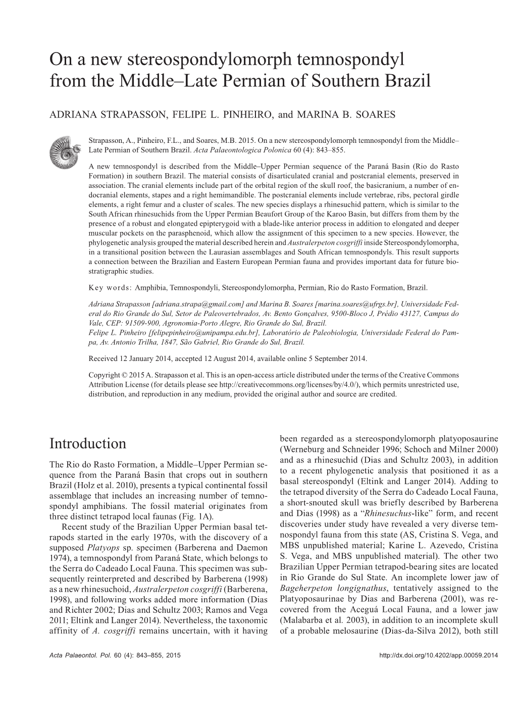 On a New Stereospondylomorph Temnospondyl from the Middle–Late Permian of Southern Brazil