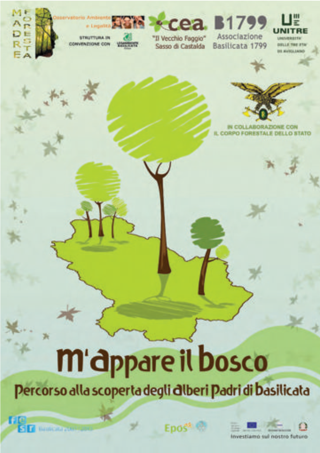 Percorso Alla Scoperta Degli Alberi Padri Di Basilicata