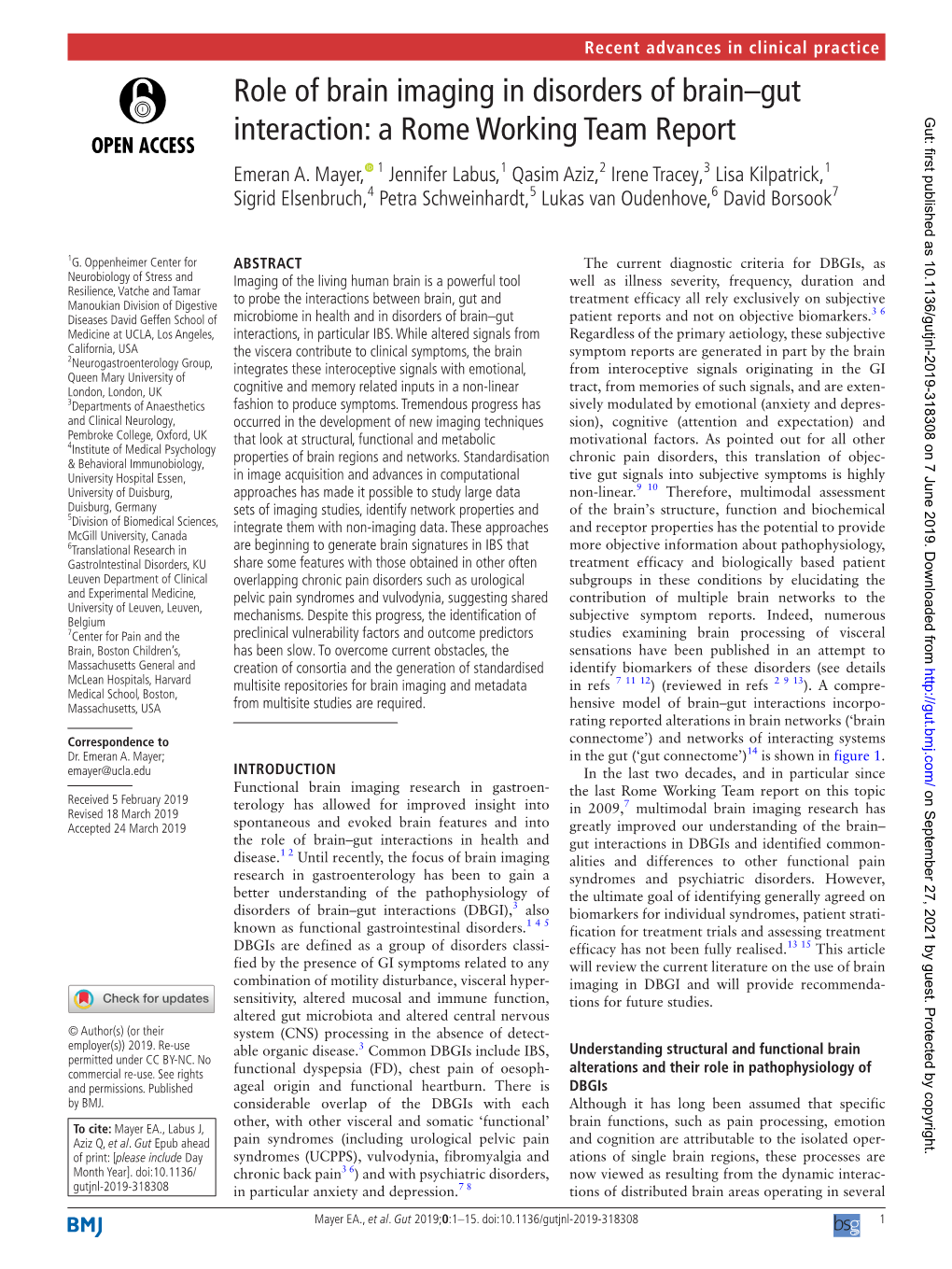 Role of Brain Imaging in Disorders of Brain–Gut Interaction: a Rome Working Team Report Gut: First Published As 10.1136/Gutjnl-2019-318308 on 7 June 2019