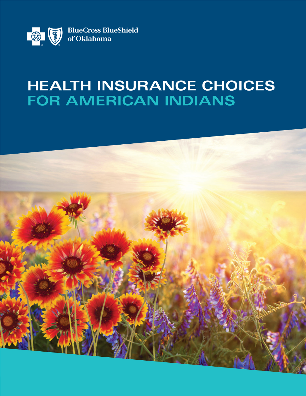 Health Insurance Choices for American Indians Health Insurance Is an Important Resource That Can Keep You and Your Family Healthy