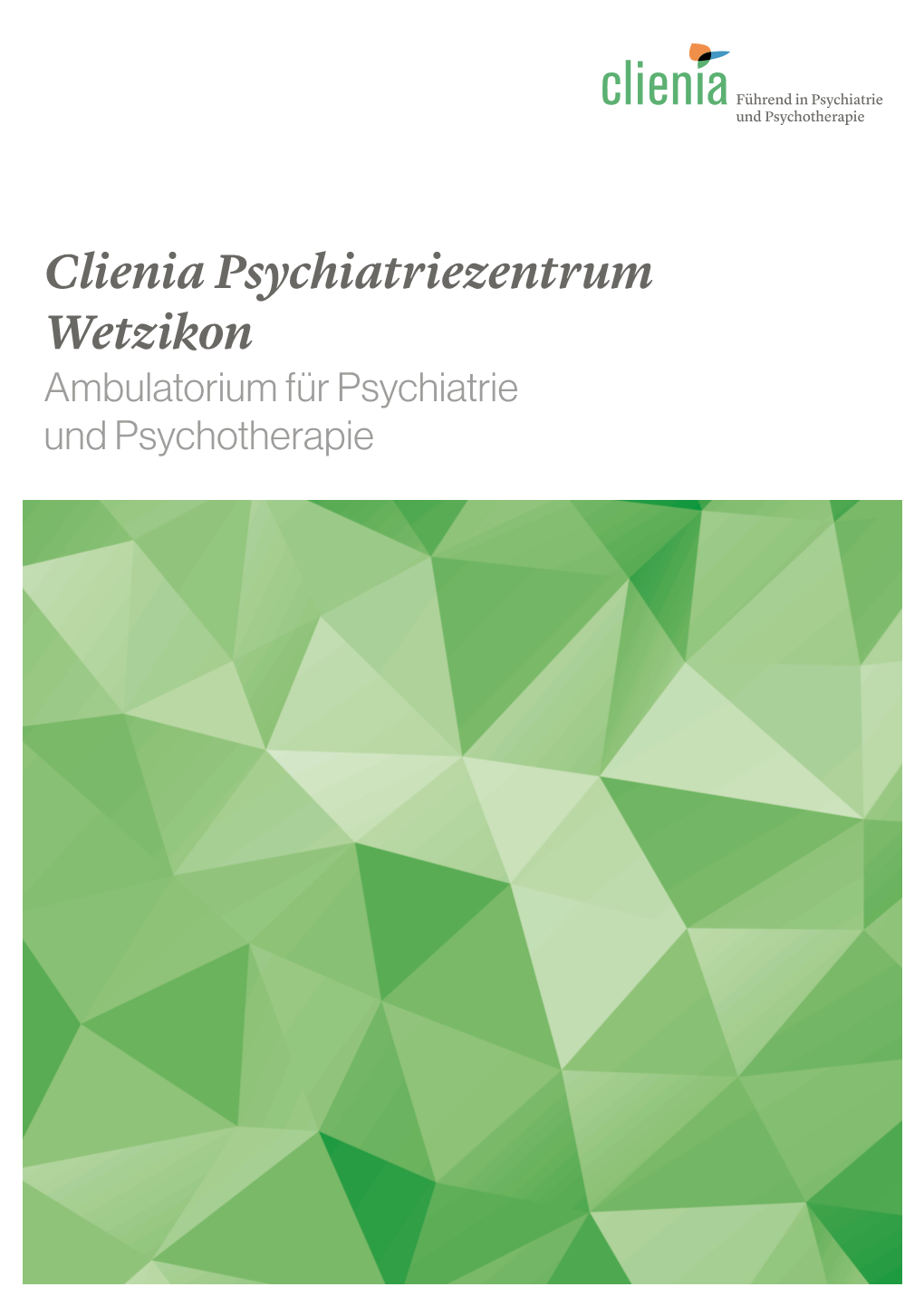 Clienia Psychiatriezentrum Wetzikon Ambulatorium Für Psychiatrie Und Psychotherapie 2 Herzlich Willkommen Im Psychiatriezentrum Wetzikon