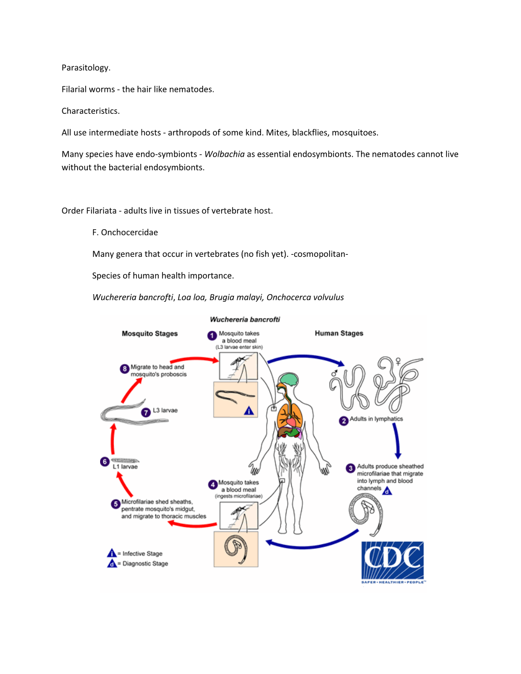 Parasitology. Filarial Worms