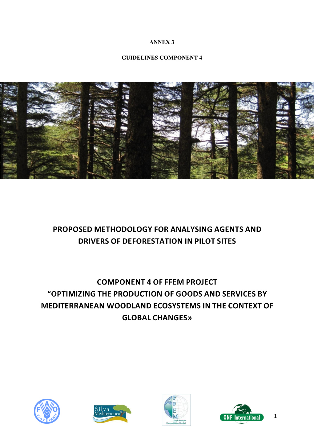 Methodology for Analysing Agents and Drivers of Deforestation in Pilot Sites