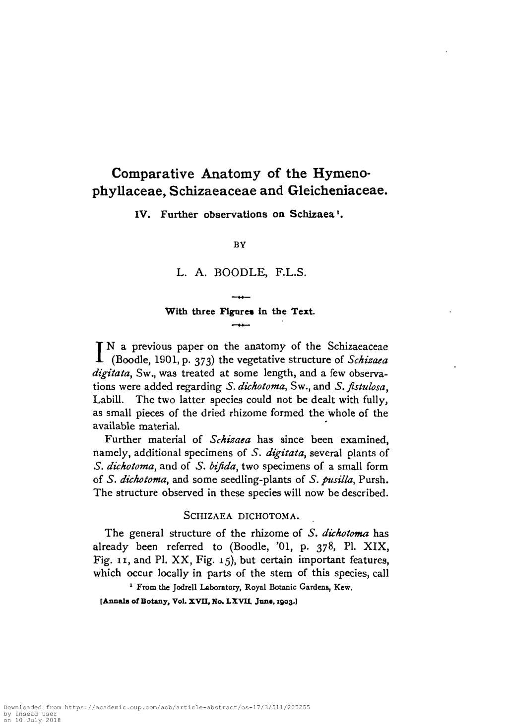 Comparative Anatomy of the Hymeno- Phyllaceae, Schizaeaceae and Gleicheniaceae