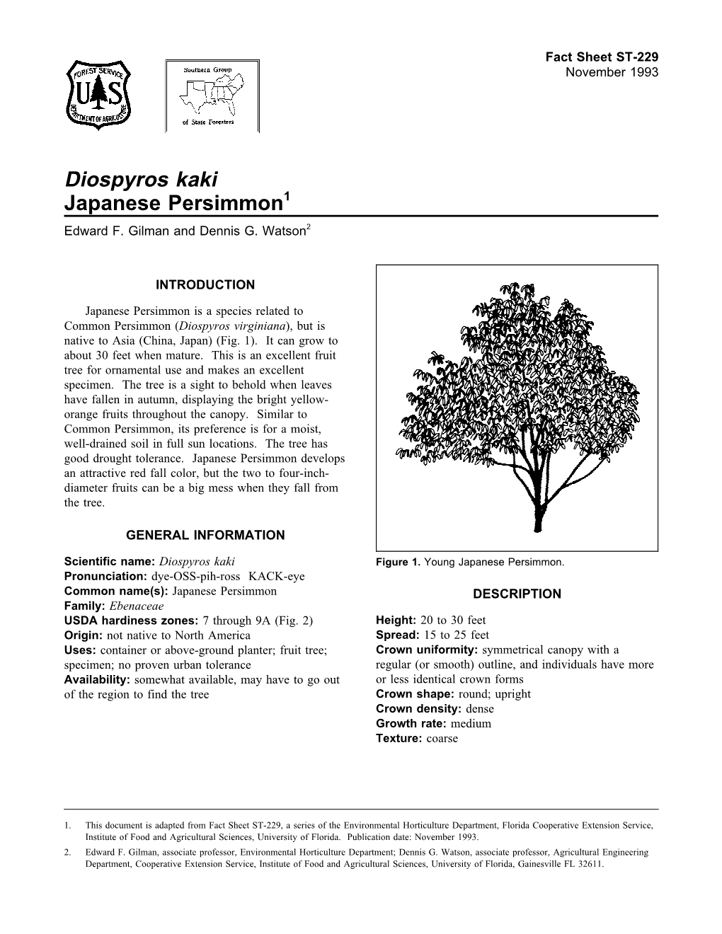 Diospyros Kaki Japanese Persimmon1 Edward F