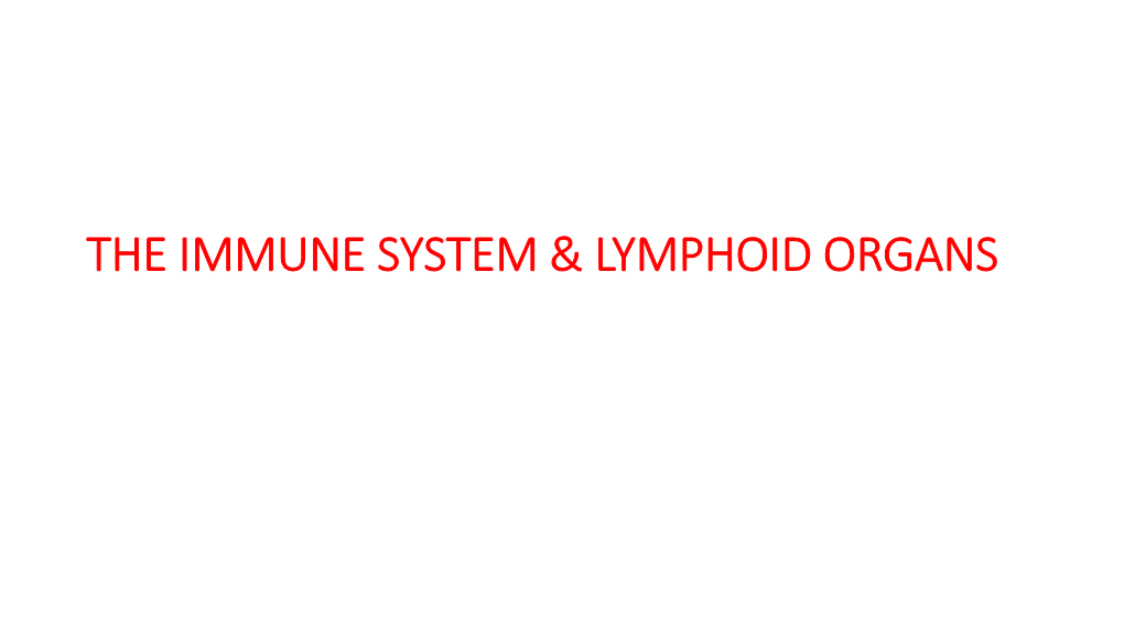 The Immune System & Lymphoid Organs