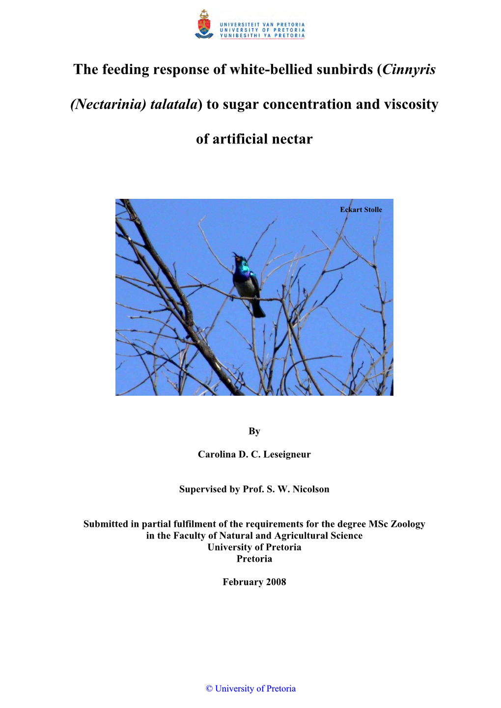 Effect on the Feeding Behaviour of White-Bellied Sunbirds, Cinnyris Talatala (Nectariniidae)