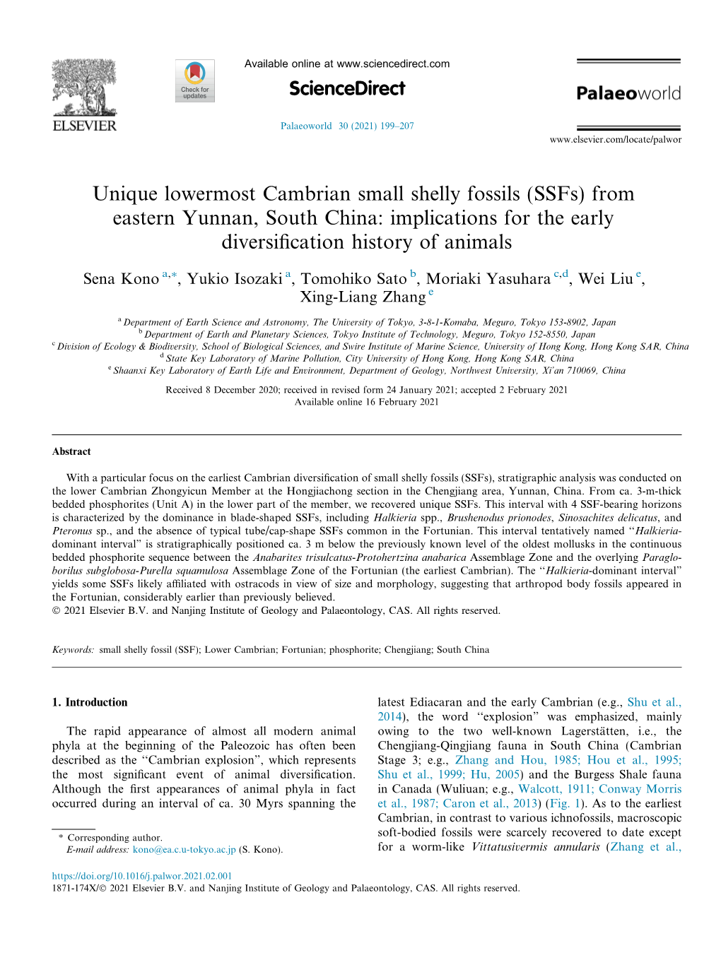 Unique Lowermost Cambrian Small Shelly Fossils (Ssfs) from Eastern Yunnan, South China: Implications for the Early Diversiﬁcation History of Animals