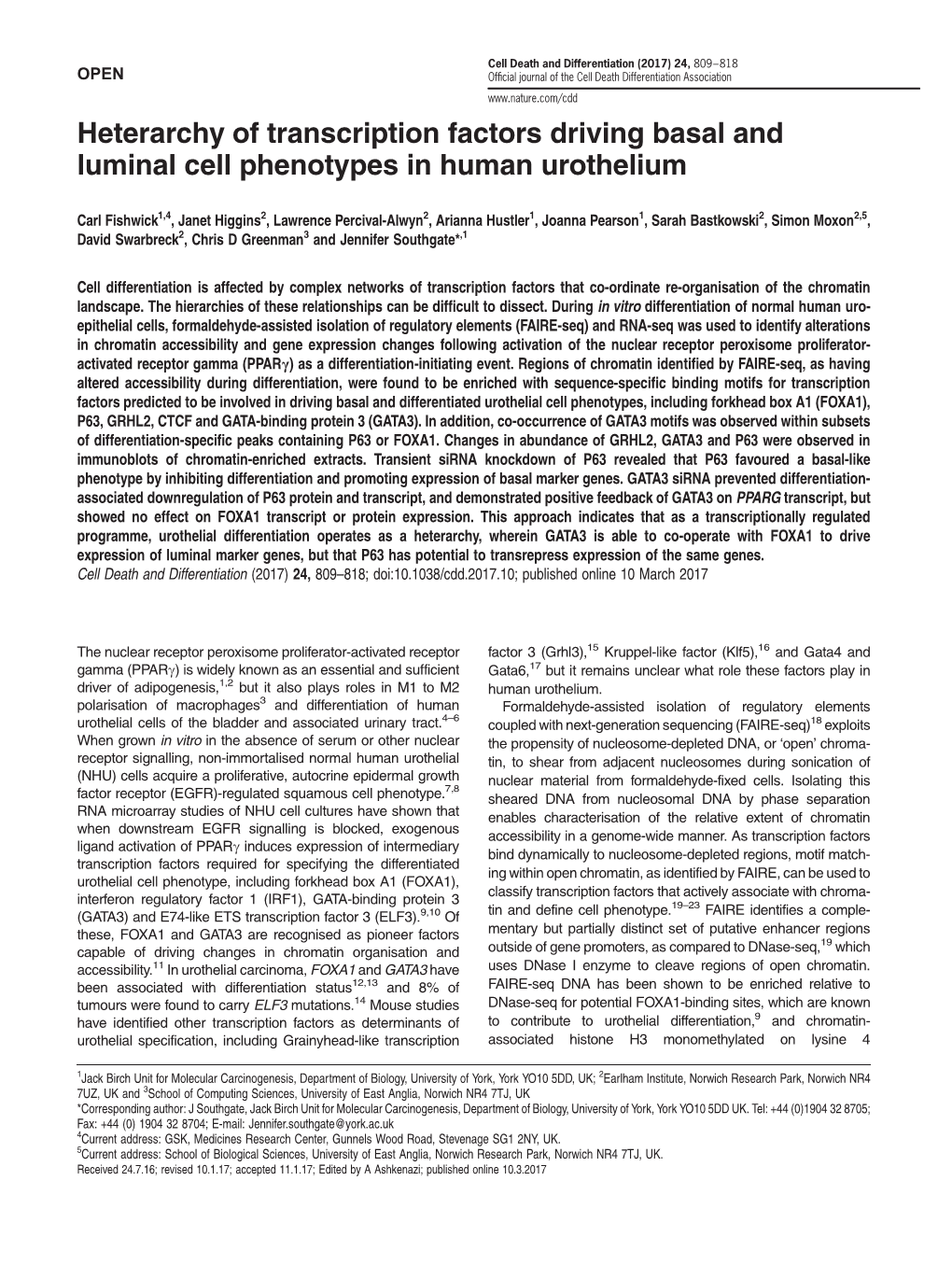 Heterarchy of Transcription Factors Driving Basal and Luminal Cell Phenotypes in Human Urothelium